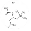 Acetyl L-Carnitine supplement representation