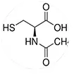 N-Acetyl L-Cysteine powder on a spoon